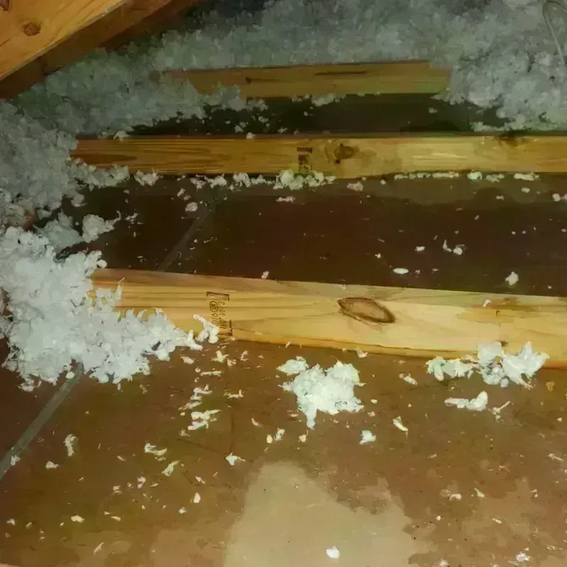 Attic Water Damage in New Brunswick, NJ