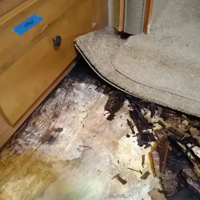 Wood Floor Water Damage in New Brunswick, NJ